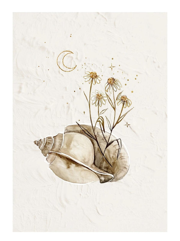 Seashells and Stars - A4 PAPER BRIGITTE MAY 