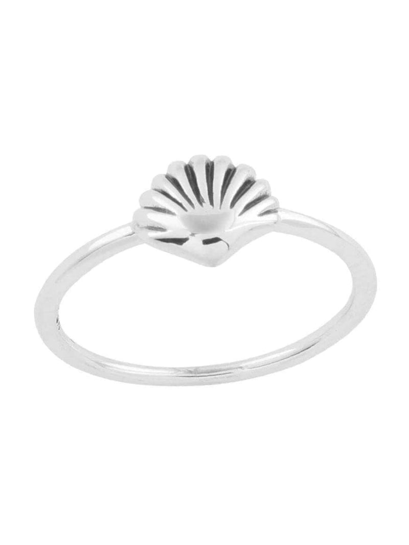 Dainty Seashell Ring RINGS MIDSUMMER STAR 